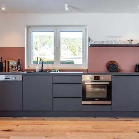 Stuub Saig Apartman Lenzkirch